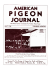 Magazine Cover